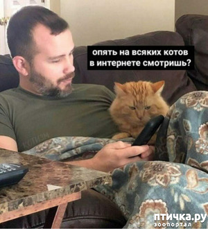 ����: ��� ��� ������ ������