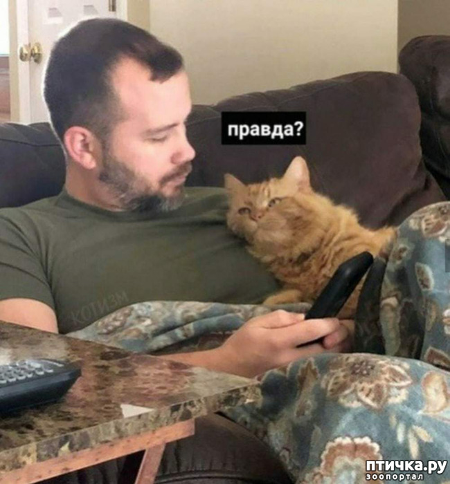 ���� 4: ��� ��� ������ ������