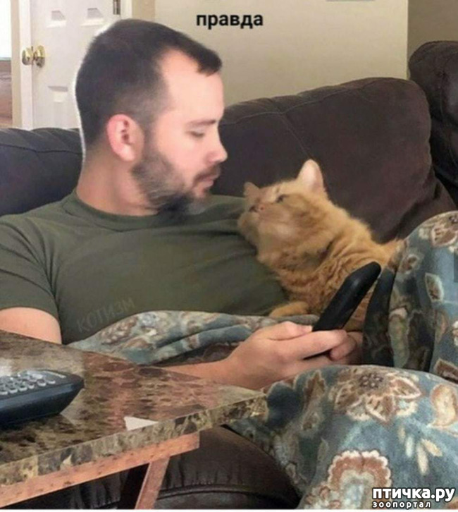 ���� 5: ��� ��� ������ ������