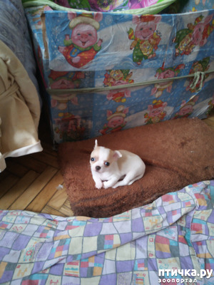 ����: ������ ��� ������.. � ������� �� �����!