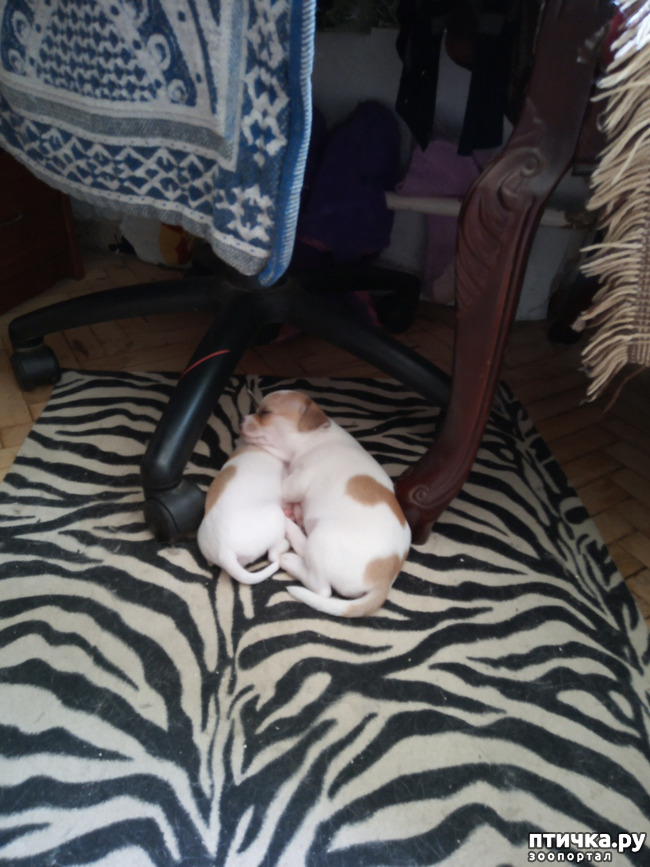 ���� 2: ������ ��� ������.. � ������� �� �����!