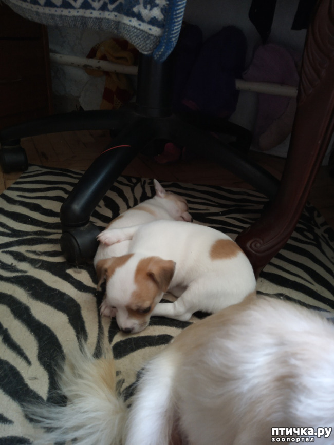 ���� 3: ������ ��� ������.. � ������� �� �����!