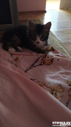 ����: � � ����������!