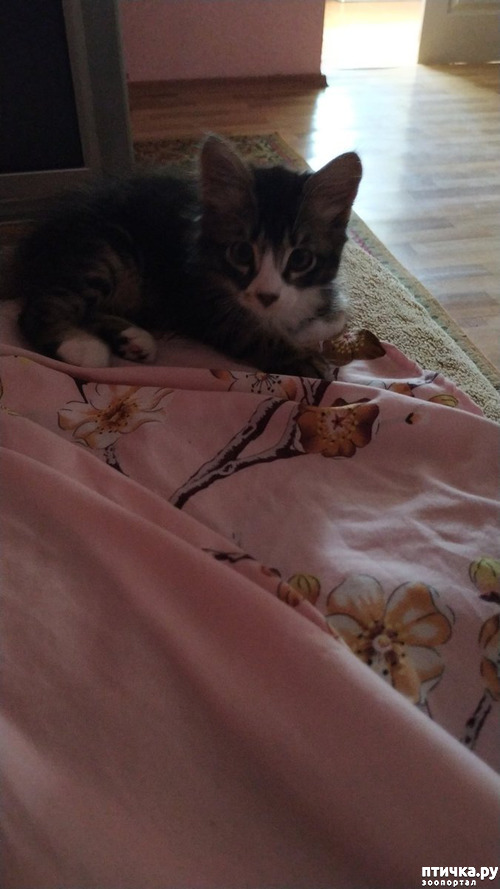 ���� 1: � � ����������!