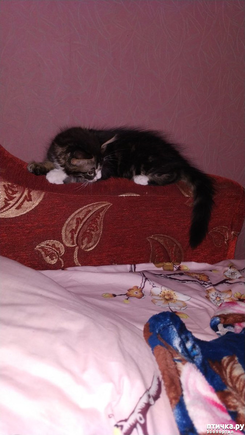 ���� 2: � � ����������!