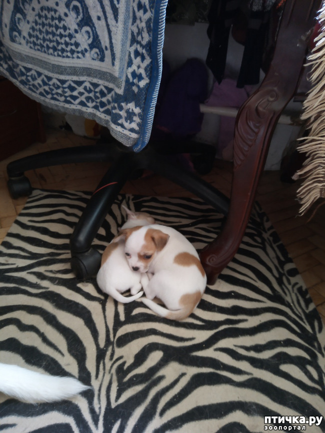 ���� 4: ������ ��� ������.. � ������� �� �����!