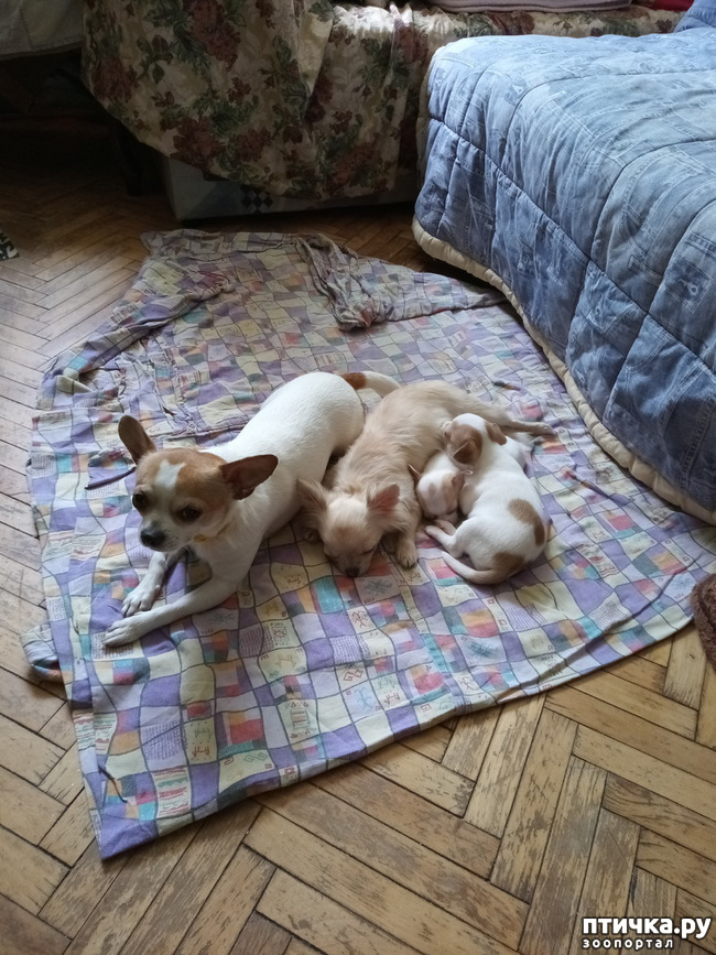 ���� 5: ������ ��� ������.. � ������� �� �����!