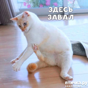 ����: �� ��������! ������������ �� ����� ��������!!