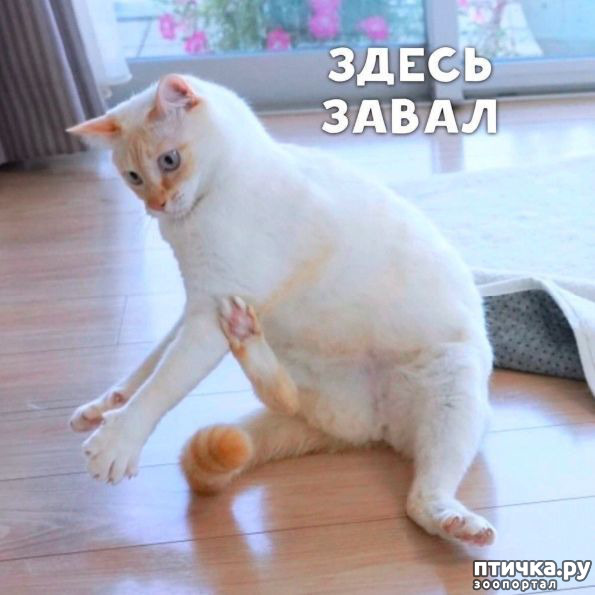 ���� 1: �� ��������! ������������ �� ����� ��������!!