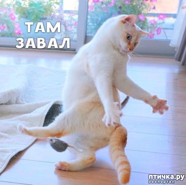 ���� 2: �� ��������! ������������ �� ����� ��������!!