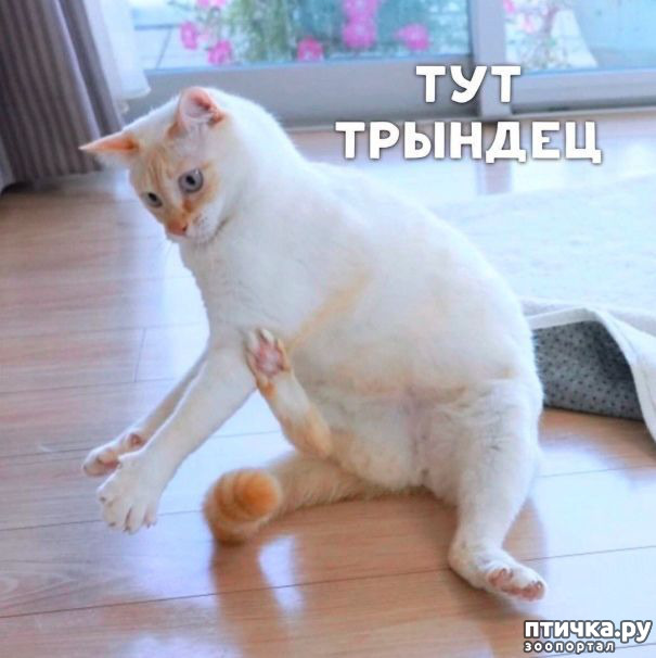 ���� 3: �� ��������! ������������ �� ����� ��������!!