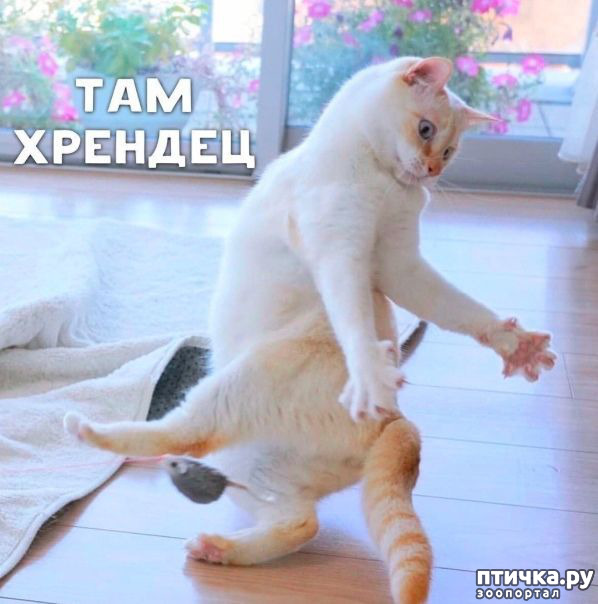 ���� 4: �� ��������! ������������ �� ����� ��������!!