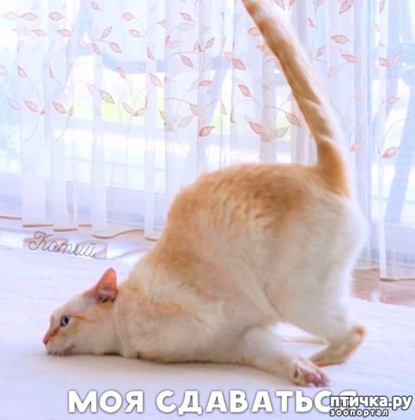 ���� 5: �� ��������! ������������ �� ����� ��������!!