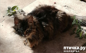 ����: ������� ������������:)