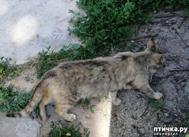 ���� 2: ������� ������������:)