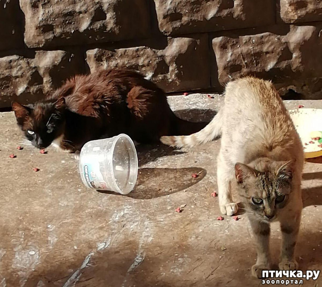 ���� 3: ������� ������������:)