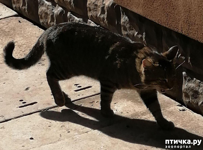 ���� 5: ������� ������������:)