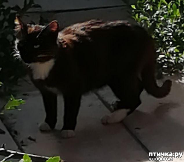 ���� 4: ������� ������������:)