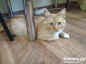 ����: � ����� � ����������!