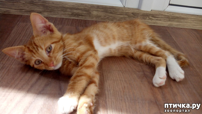 ���� 2: � ����� � ����������!