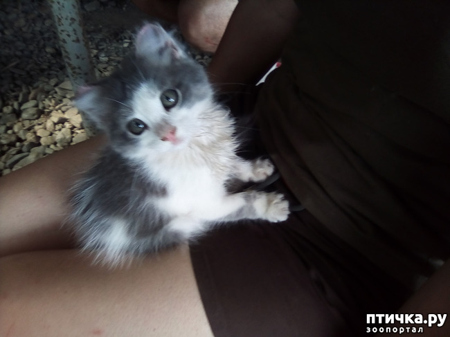 ���� 21: ���� - ��� ��������� �����.