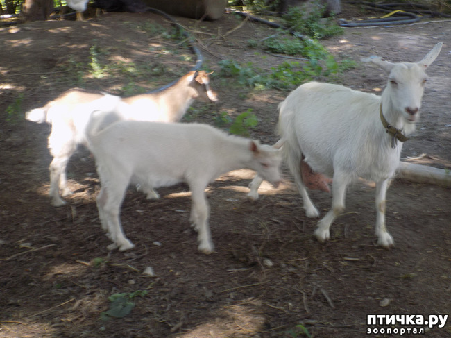 ���� 23: ���� - ��� ��������� �����.