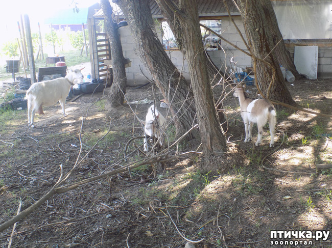 ���� 24: ���� - ��� ��������� �����.