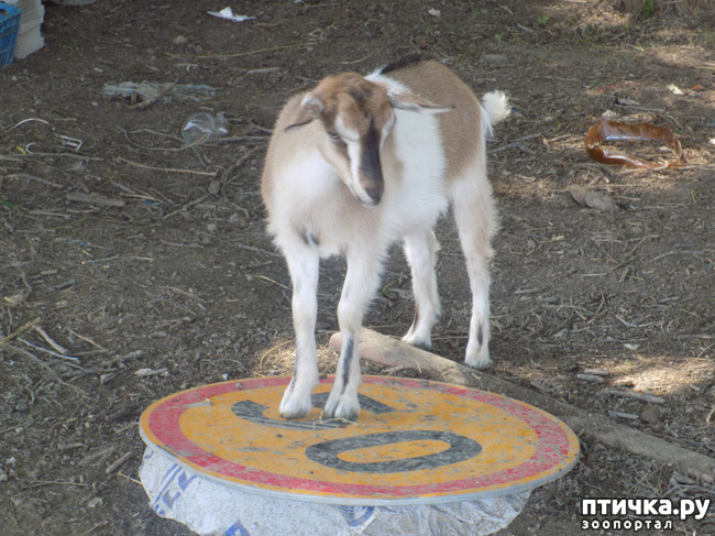 ���� 25: ���� - ��� ��������� �����.