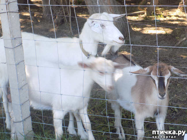 ���� 26: ���� - ��� ��������� �����.