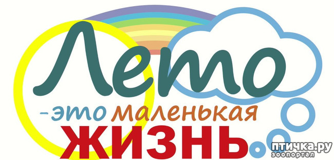 ���� 1: ���� - ��� ��������� �����.