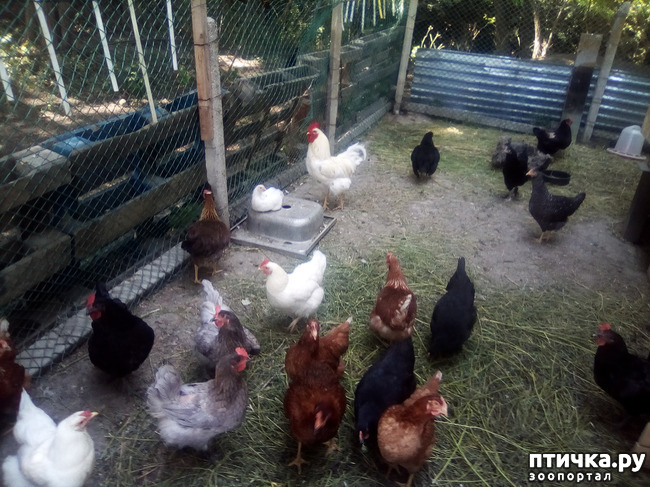 ���� 27: ���� - ��� ��������� �����.