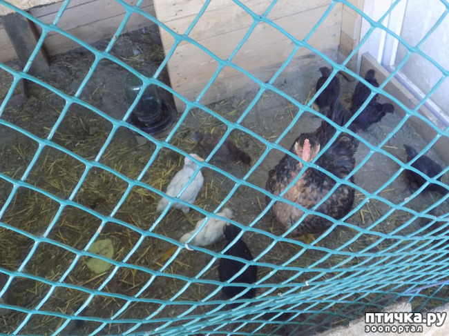 ���� 28: ���� - ��� ��������� �����.