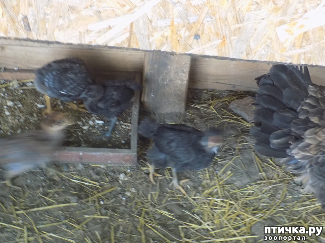 ���� 30: ���� - ��� ��������� �����.