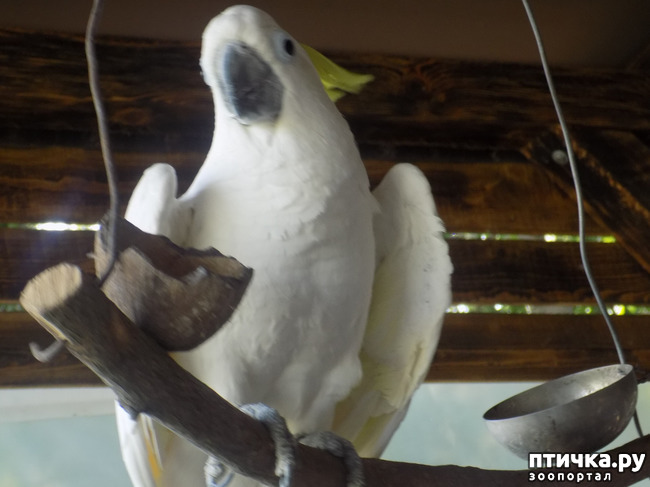 ���� 32: ���� - ��� ��������� �����.