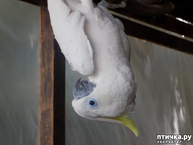 ���� 33: ���� - ��� ��������� �����.