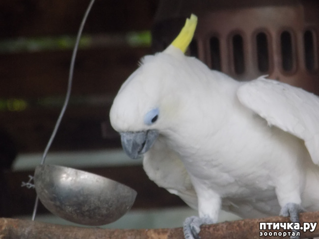 ���� 34: ���� - ��� ��������� �����.