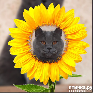 ����: ������ ������ �����