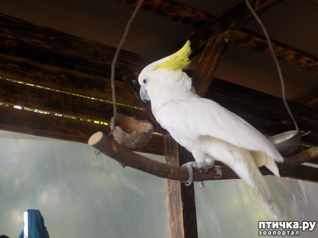 ���� 35: ���� - ��� ��������� �����.