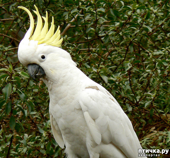 ���� 37: ���� - ��� ��������� �����.