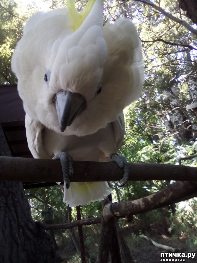 ���� 38: ���� - ��� ��������� �����.