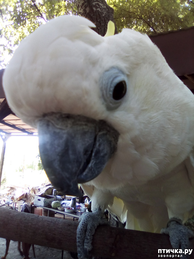 ���� 40: ���� - ��� ��������� �����.