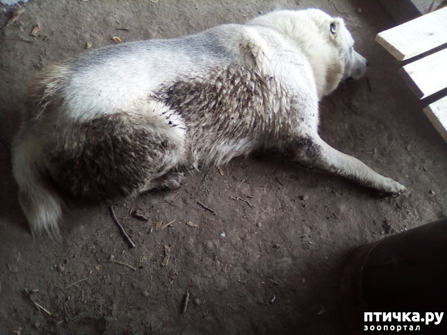 ���� 13: ���� - ��� ��������� �����.