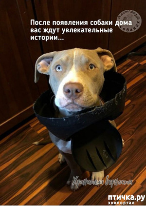 ����: ��� ���������� �����