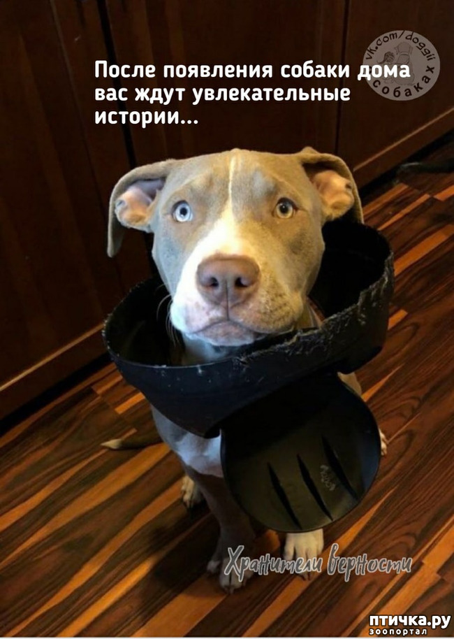 ���� 1: ��� ���������� �����