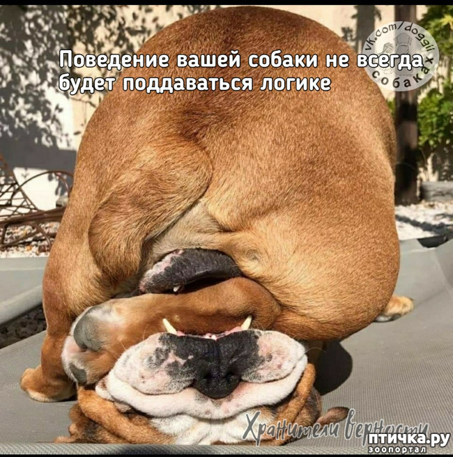 ���� 2: ��� ���������� �����