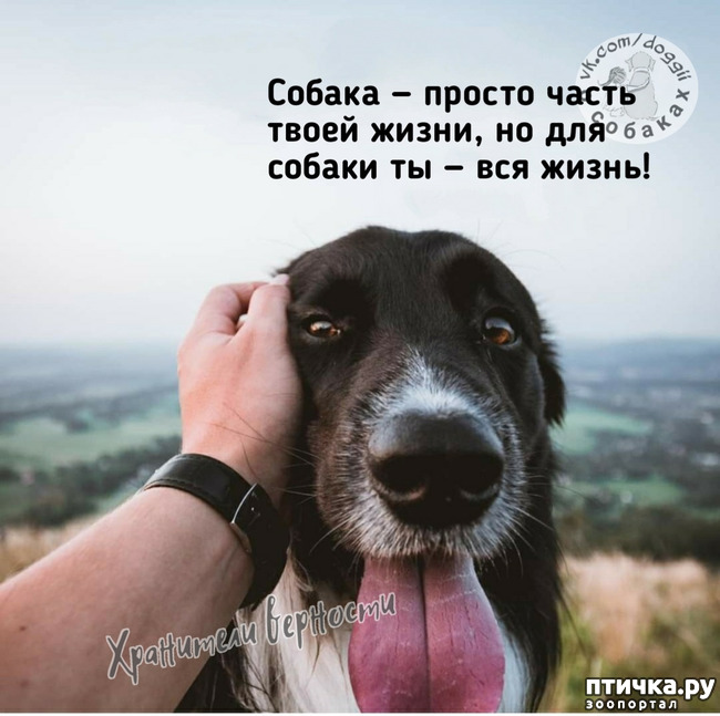 ���� 3: ��� ���������� �����