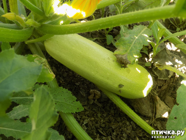 ���� 2: ���� - ��� ��������� �����.