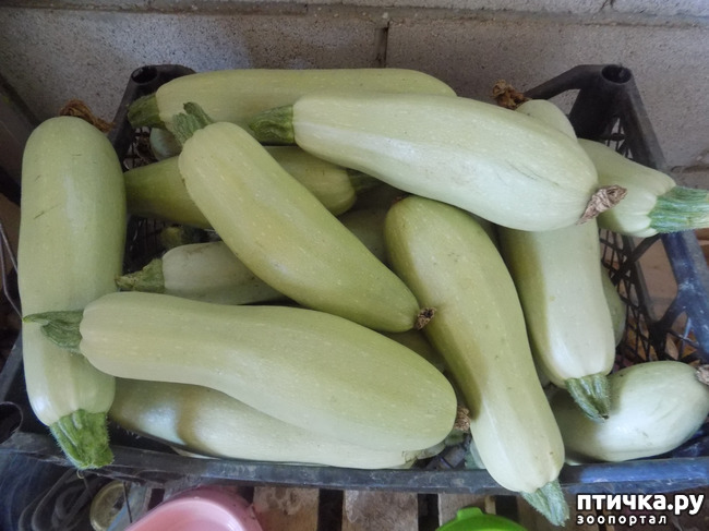 ���� 3: ���� - ��� ��������� �����.