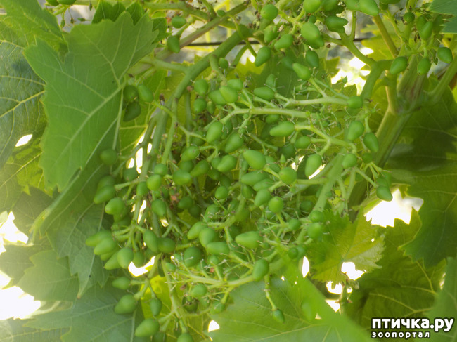 ���� 6: ���� - ��� ��������� �����.