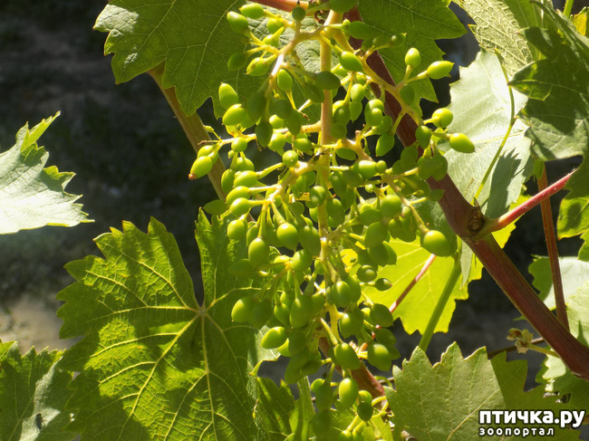 ���� 7: ���� - ��� ��������� �����.